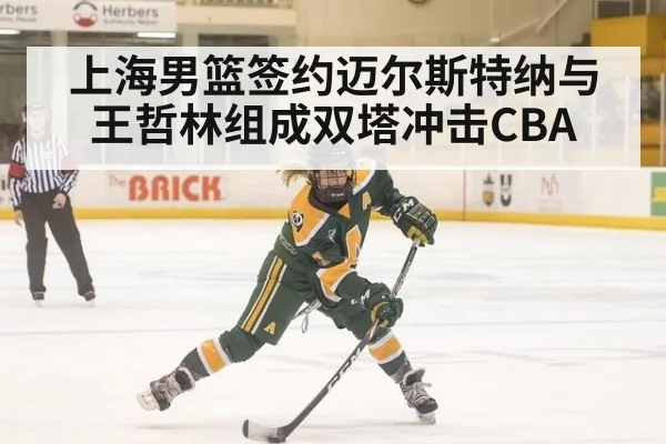 上海男篮签约迈尔斯特纳与王哲林组成双塔冲击CBA